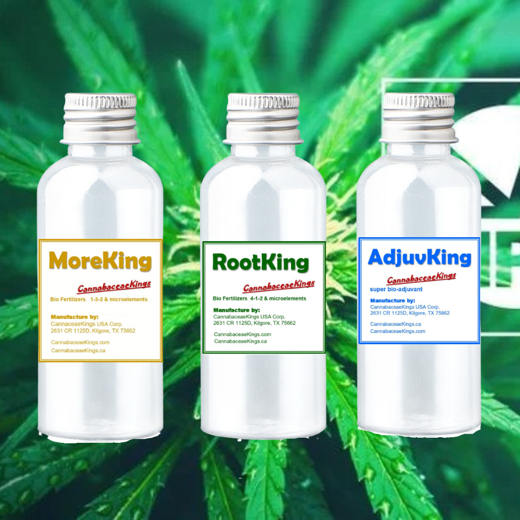 Nutriments pour cannabis en bouteille d'essai gratuite de 100 ml pour les producteurs du Canada et des États-Unis